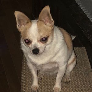 Meet your Posher, Jen